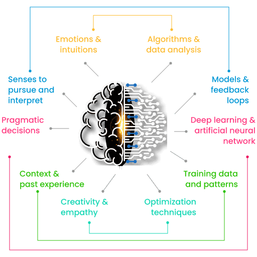 Functionalities of human brain and machine