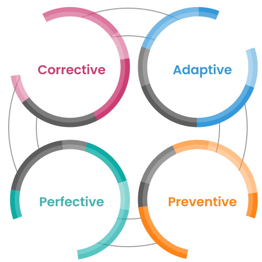 Software Maintenance Services